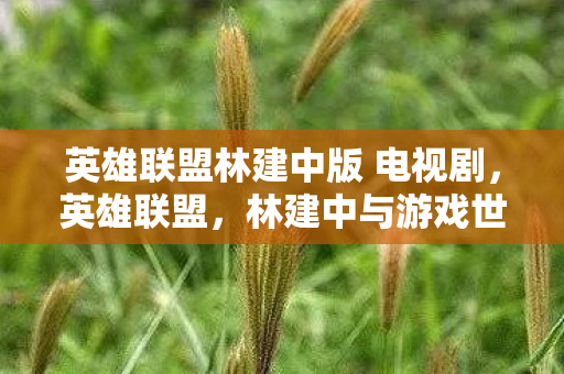 英雄联盟林建中版 电视剧,英雄联盟,林建中与游戏世界的碰撞 英雄联盟林建中版 电视剧,英雄联盟,林建中与游戏世界的碰撞