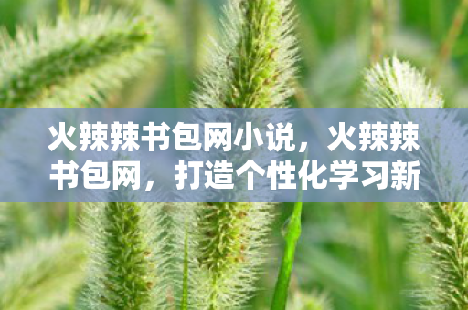 火辣辣书包网小说,火辣辣书包网,打造个性化学习新体验 火辣辣书包网小说,火辣辣书包网,打造个性化学习新体验