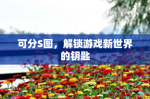 可分S图,解锁游戏新世界的钥匙 可分S图,解锁游戏新世界的钥匙