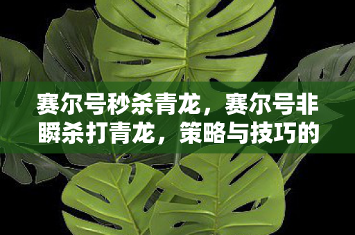 赛尔号秒杀青龙,赛尔号非瞬杀打青龙,策略与技巧的深度剖析 赛尔号秒杀青龙,赛尔号非瞬杀打青龙,策略与技巧的深度剖析