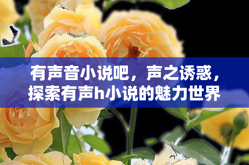 有声音小说吧，声之诱惑，探索有声h小说的魅力世界
