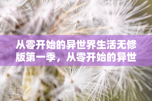 从零开始的异世界生活无修版第一季，从零开始的异世界生活无修版，探索未知世界的奇妙旅程