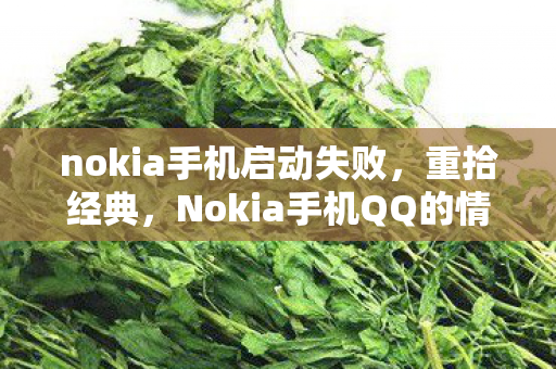 nokia手机启动失败,重拾经典,Nokia手机QQ的情怀与回忆 nokia手机启动失败,重拾经典,Nokia手机QQ的情怀与回忆