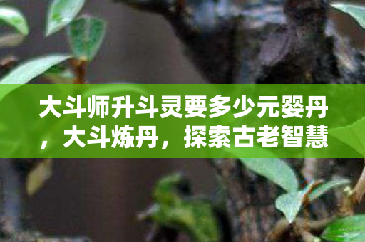 大斗师升斗灵要多少元婴丹,大斗炼丹,探索古老智慧的现代应用 大斗师升斗灵要多少元婴丹,大斗炼丹,探索古老智慧的现代应用