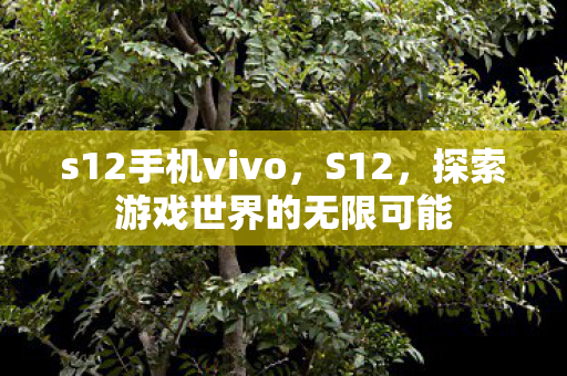 s12手机vivo,S12,探索游戏世界的无限可能 s12手机vivo,S12,探索游戏世界的无限可能