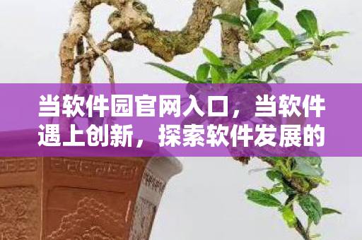 当软件园官网入口，当软件遇上创新，探索软件发展的无限可能