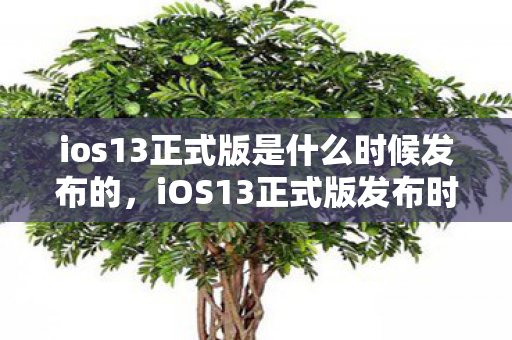 ios13正式版是什么时候发布的,iOS13正式版发布时间揭秘 ios13正式版是什么时候发布的,iOS13正式版发布时间揭秘
