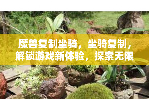 魔兽复制坐骑,坐骑复制,解锁游戏新体验,探索无限可能 魔兽复制坐骑,坐骑复制,解锁游戏新体验,探索无限可能