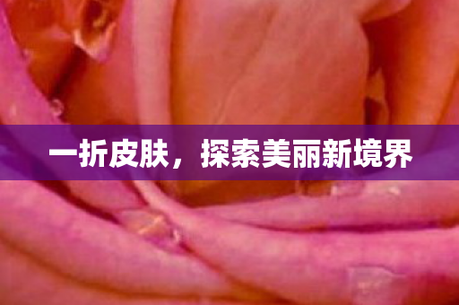 一折皮肤，探索美丽新境界