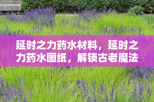 延时之力药水材料,延时之力药水图纸,解锁古老魔法的秘密 延时之力药水材料,延时之力药水图纸,解锁古老魔法的秘密