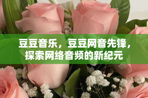 豆豆音乐,豆豆网音先锋,探索网络音频的新纪元 豆豆音乐,豆豆网音先锋,探索网络音频的新纪元