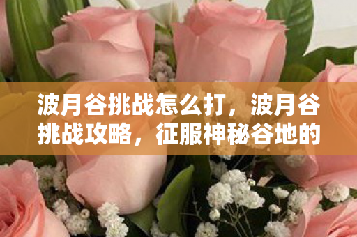 波月谷挑战怎么打,波月谷挑战攻略,征服神秘谷地的终极指南 波月谷挑战怎么打,波月谷挑战攻略,征服神秘谷地的终极指南