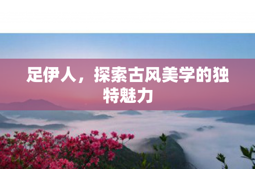 足伊人，探索古风美学的独特魅力