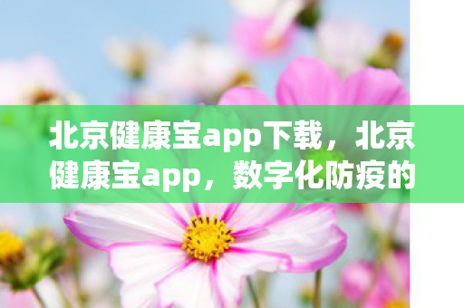 北京健康宝app下载,北京健康宝app,数字化防疫的新利器 北京健康宝app下载,北京健康宝app,数字化防疫的新利器
