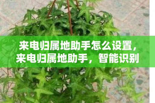 来电归属地助手怎么设置,来电归属地助手,智能识别,便捷生活 来电归属地助手怎么设置,来电归属地助手,智能识别,便捷生活