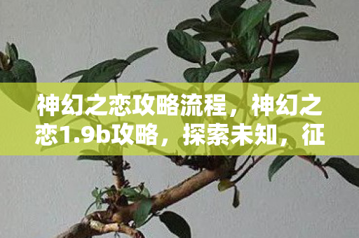 神幻之恋攻略流程,神幻之恋1.9b攻略,探索未知,征服挑战 神幻之恋攻略流程,神幻之恋1.9b攻略,探索未知,征服挑战