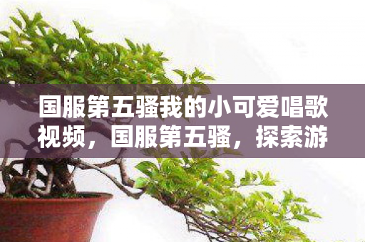 国服第五骚我的小可爱唱歌视频，国服第五骚，探索游戏世界的独特魅力