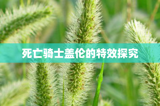 死亡骑士盖伦的特效探究 死亡骑士盖伦的特效探究