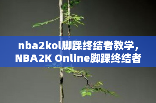 nba2kol脚踝终结者教学,NBA2K Online脚踝终结者,技巧与战术的完美结合 nba2kol脚踝终结者教学,NBA2K Online脚踝终结者,技巧与战术的完美结合