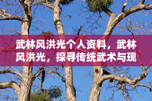武林风洪光个人资料,武林风洪光,探寻传统武术与现代竞技的交融 武林风洪光个人资料,武林风洪光,探寻传统武术与现代竞技的交融