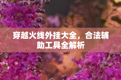 穿越火线外挂大全,合法辅助工具全解析 穿越火线外挂大全,合法辅助工具全解析