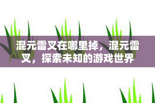 混元雷叉在哪里掉,混元雷叉,探索未知的游戏世界 混元雷叉在哪里掉,混元雷叉,探索未知的游戏世界