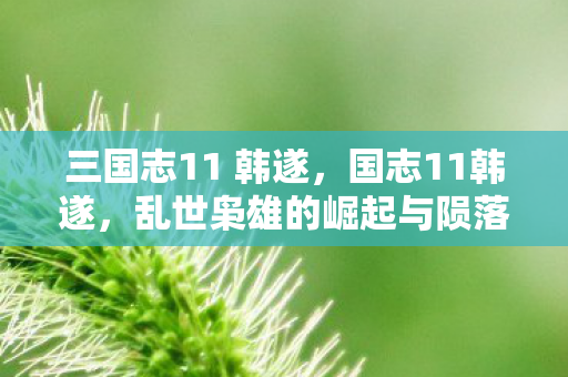三国志11 韩遂,国志11韩遂,乱世枭雄的崛起与陨落 三国志11 韩遂,国志11韩遂,乱世枭雄的崛起与陨落