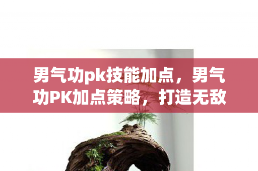 男气功pk技能加点,男气功PK加点策略,打造无敌连招,称霸PK场 男气功pk技能加点,男气功PK加点策略,打造无敌连招,称霸PK场