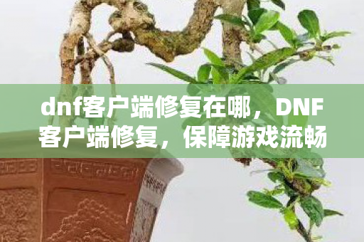 dnf客户端修复在哪,DNF客户端修复,保障游戏流畅,提升玩家体验 dnf客户端修复在哪,DNF客户端修复,保障游戏流畅,提升玩家体验