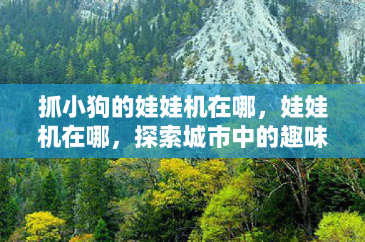 抓小狗的娃娃机在哪，娃娃机在哪，探索城市中的趣味角落