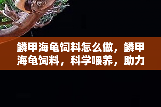 鳞甲海龟饲料怎么做，鳞甲海龟饲料，科学喂养，助力宠物健康成长