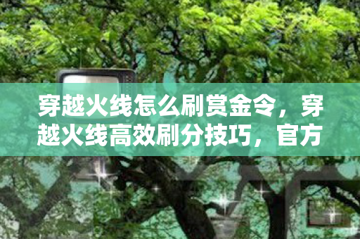 穿越火线怎么刷赏金令，穿越火线高效刷分技巧，官方授权下的策略与心得