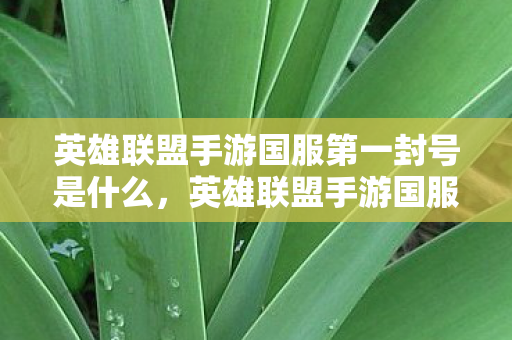 英雄联盟手游国服第一封号是什么,英雄联盟手游国服第一封号,透视外挂的警示 英雄联盟手游国服第一封号是什么,英雄联盟手游国服第一封号,透视外挂的警示