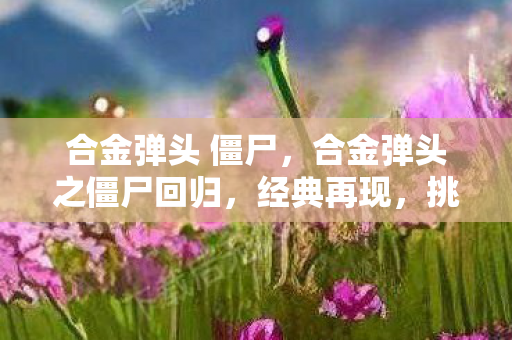 合金弹头 僵尸,合金弹头之僵尸回归,经典再现,挑战升级 合金弹头 僵尸,合金弹头之僵尸回归,经典再现,挑战升级