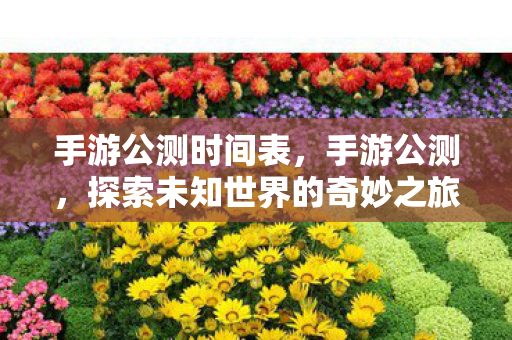 手游公测时间表，手游公测，探索未知世界的奇妙之旅