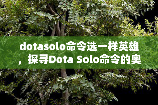dotasolo命令选一样英雄，探寻Dota Solo命令的奥秘，解锁游戏深度体验