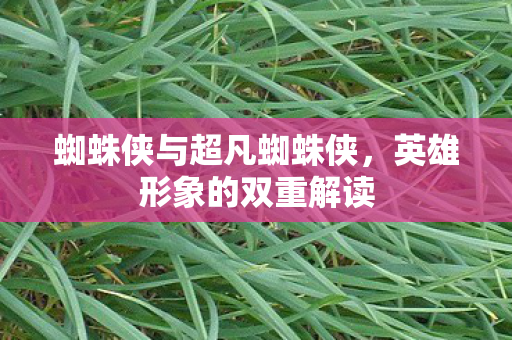 蜘蛛侠与超凡蜘蛛侠,英雄形象的双重解读 蜘蛛侠与超凡蜘蛛侠,英雄形象的双重解读