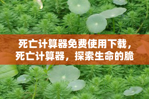 死亡计算器免费使用下载,死亡计算器,探索生命的脆弱与无常 死亡计算器免费使用下载,死亡计算器,探索生命的脆弱与无常