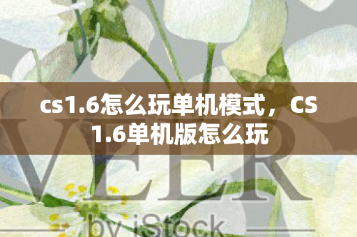 cs1.6怎么玩单机模式,CS1.6单机版怎么玩 cs1.6怎么玩单机模式,CS1.6单机版怎么玩