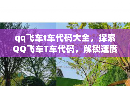qq飞车t车代码大全，探索QQ飞车T车代码，解锁速度与激情的密钥