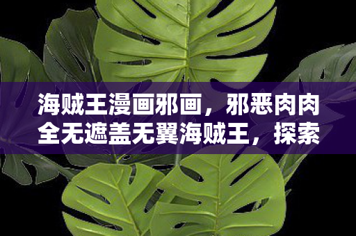 海贼王漫画邪画,邪恶肉肉全无遮盖无翼海贼王,探索未知海域的奇幻之旅 海贼王漫画邪画,邪恶肉肉全无遮盖无翼海贼王,探索未知海域的奇幻之旅
