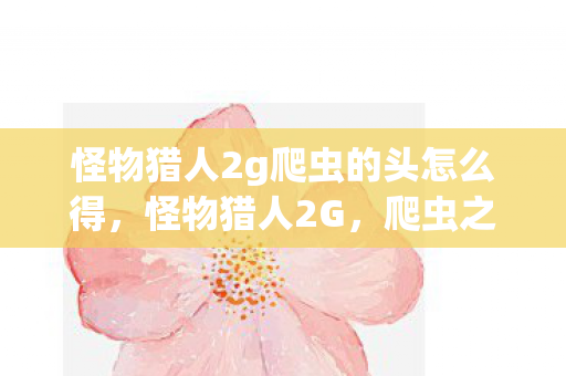 怪物猎人2g爬虫的头怎么得,怪物猎人2G,爬虫之头的传奇故事 怪物猎人2g爬虫的头怎么得,怪物猎人2G,爬虫之头的传奇故事