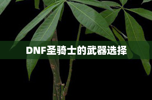 DNF圣骑士的武器选择 DNF圣骑士的武器选择