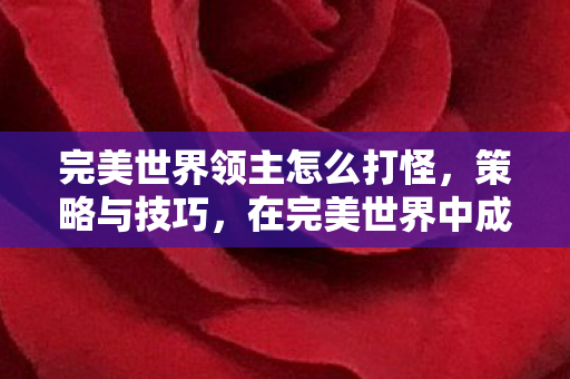 完美世界领主怎么打怪,策略与技巧,在完美世界中成为领主 完美世界领主怎么打怪,策略与技巧,在完美世界中成为领主