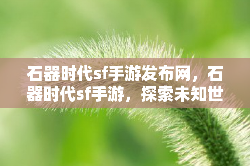 石器时代sf手游发布网,石器时代sf手游,探索未知世界的奇妙之旅 石器时代sf手游发布网,石器时代sf手游,探索未知世界的奇妙之旅