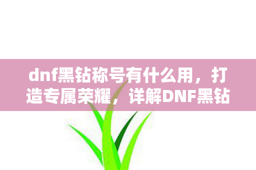 dnf黑钻称号有什么用,打造专属荣耀,详解DNF黑钻称号的无限可能 dnf黑钻称号有什么用,打造专属荣耀,详解DNF黑钻称号的无限可能