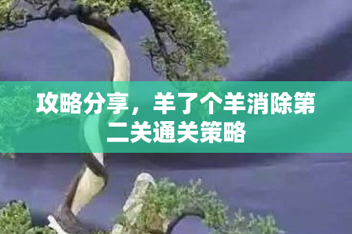 攻略分享,羊了个羊消除第二关通关策略 攻略分享,羊了个羊消除第二关通关策略