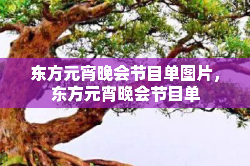 东方元宵晚会节目单图片,东方元宵晚会节目单 东方元宵晚会节目单图片,东方元宵晚会节目单