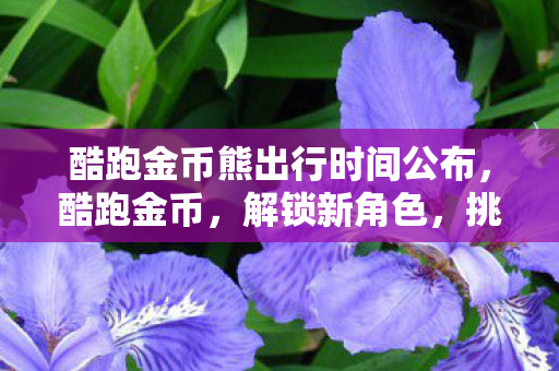 酷跑金币熊出行时间公布，酷跑金币，解锁新角色，挑战新关卡，金币大揭秘