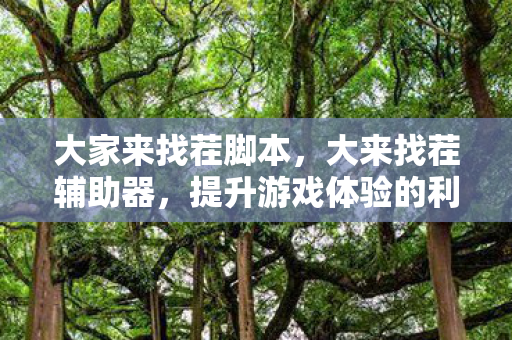 大家来找茬脚本,大来找茬辅助器,提升游戏体验的利器 大家来找茬脚本,大来找茬辅助器,提升游戏体验的利器